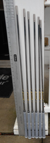 Dynamic gold 400 tour - 6,